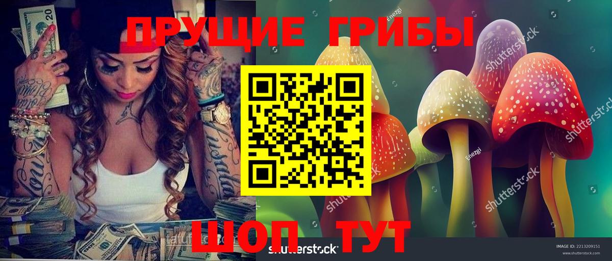 Псилоцибиновые грибы Psilocybe Ленинск-Кузнецкий