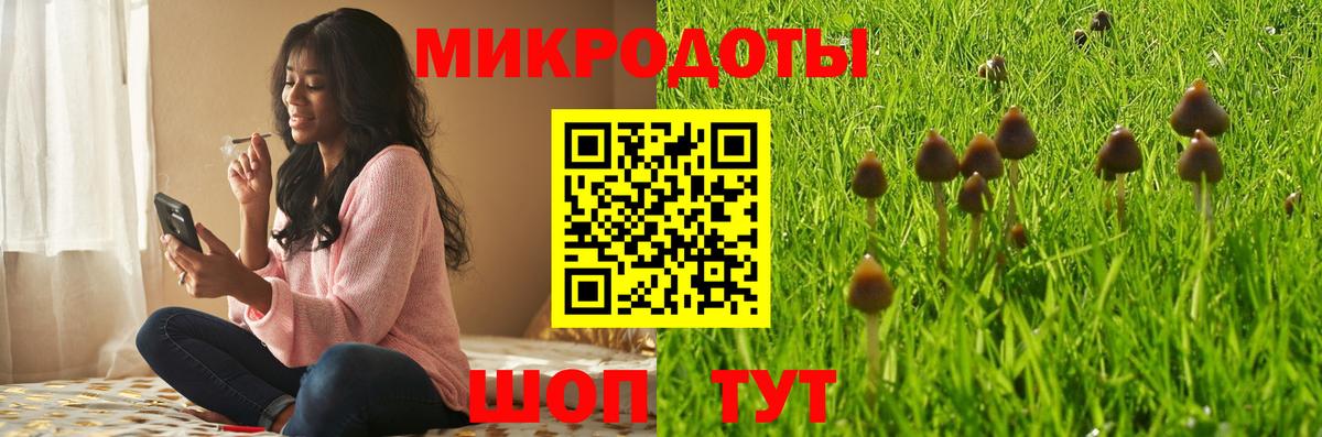 Галлюциногенные грибы GOLDEN TEACHER  Вход с VPN  Ленинск-Кузнецкий 